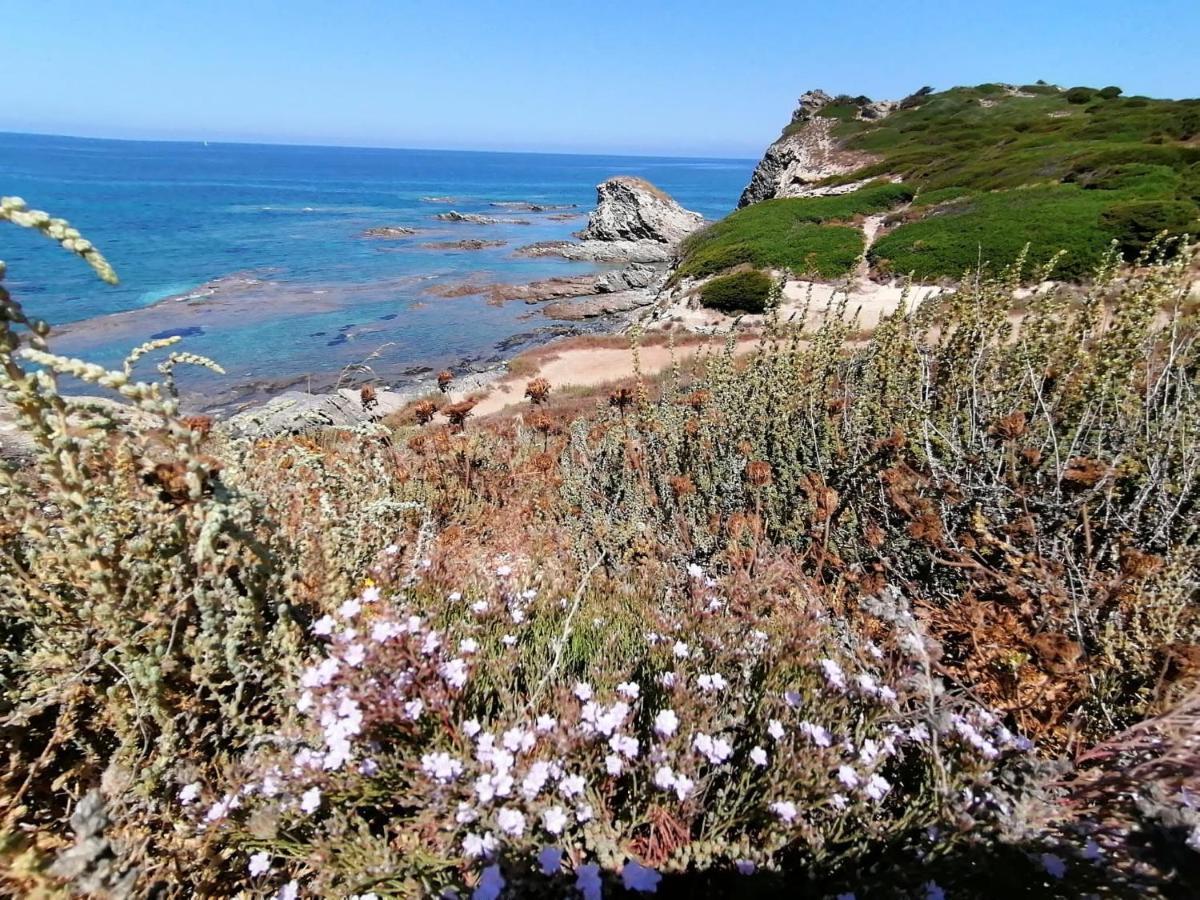 Le Palme Holidays Пальмадула Экстерьер фото